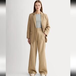 Everlane The Draper Pleated Pant Buttersmooth Ash Brown Tan 16S Short Wide Leg